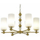 Подвесная люстра ST Luce Aurora SL2003.303.06