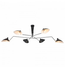 Подвесная люстра ST Luce Spruzzo SL305.402.06