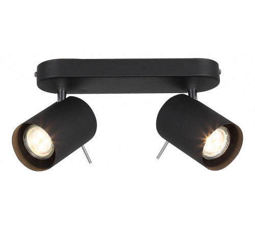 Светодиодный спот ST Luce Fanale SL597.401.02 Светодиодный спот ST Luce Fanale SL597.401.02
