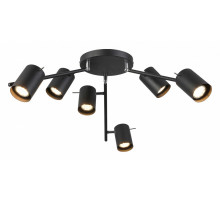 Потолочный светильник ST LUCE FANALE SL597.402.06