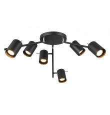 Потолочный светильник ST LUCE FANALE SL597.402.06
