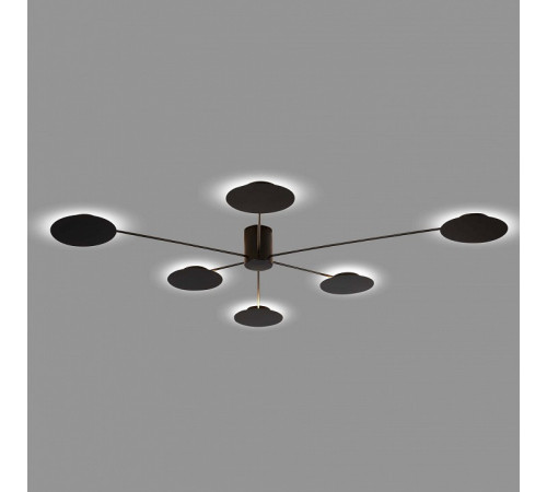Потолочная люстра ST Luce Tondo SL6006.402.06 Потолочная люстра ST Luce Tondo SL6006.402.06