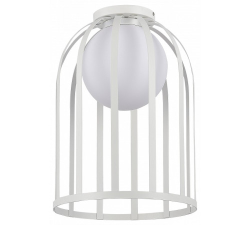 Потолочный светильник ST Luce Nordic SL6129.502.01