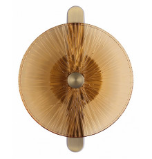 Настенный светильник ST Luce Wasi SL6141.311.01