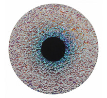 Настенный светильник ST Luce Alumno SL6142.421.01