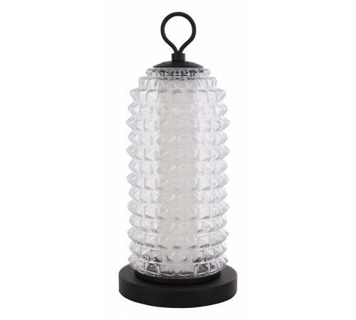 Настольная лампа ST Luce Saguaro SL6144.404.01 Настольная лампа ST Luce Saguaro SL6144.404.01