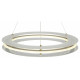 Подвесная люстра ST Luce Fagy SL6245.203.01