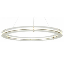 Подвесная люстра ST Luce Fagy SL6245.213.01