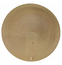 Настенный светильник ST Luce Fossil SL6900.501.16