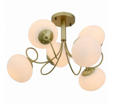 Потолочная люстра ST Luce Acini SL717.202.06