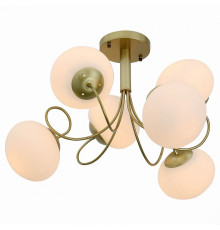 Потолочная люстра ST Luce Acini SL717.202.06