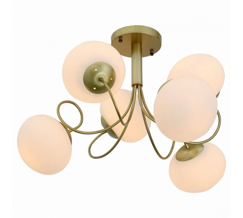 Потолочная люстра ST Luce Acini SL717.202.06