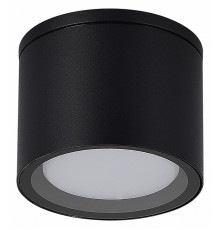 Уличный потолочный светильник ST Luce Tubo SL9006.402.01