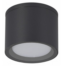 Уличный потолочный светильник ST Luce Tubo SL9006.702.01