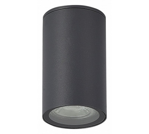 Уличный потолочный светильник ST Luce Tubo SL9010.712.01