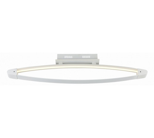 Потолочный светодиодный светильник ST Luce SL920.102.01
