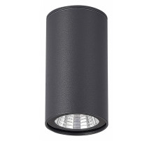 Уличный потолочный светильник ST Luce Tubo SL9514.702.01