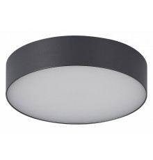 Уличный потолочный светильник ST Luce Sun SL9518.702.01