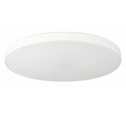 Потолочный светильник Simple Story 1204-LED48CL