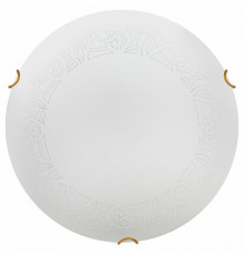 Настенно-потолочный светильник Sonex Ammonite 7602/BL