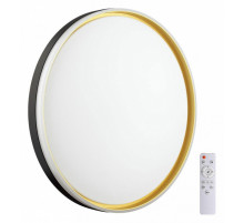 Настенно-потолочный светильник Sonex Savi 7619/DL