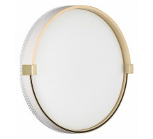 Настенно-потолочный светильник Sonex Olidi white 7646/CL