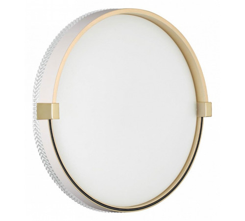 Настенно-потолочный светильник Sonex Olidi white 7646/CL