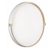 Настенно-потолочный светильник Sonex Olidi white 7646/EL