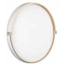 Настенно-потолочный светильник Sonex Olidi white 7646/EL