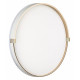 Настенно-потолочный светильник Sonex Olidi white 7646/EL