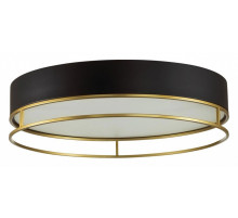 Потолочный светильник Sonex Lofty 7723/100L