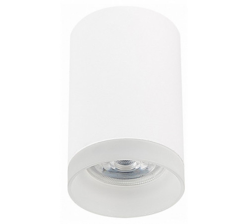Накладной светильник ST Luce ST100 ST100.502.01 Накладной светильник ST Luce ST100 ST100.502.01