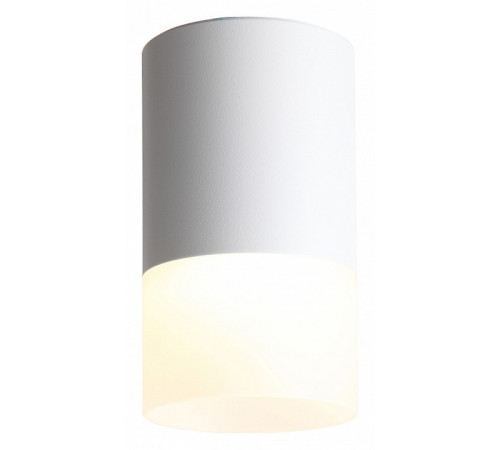Накладной светильник ST Luce ST100.502.05 Накладной светильник ST Luce ST100.502.05