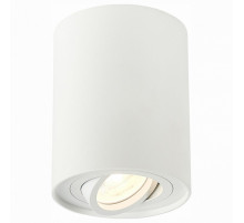 Потолочный светильник ST LUCE ST108.517.01