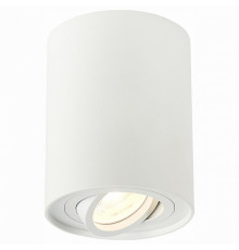 Потолочный светильник ST LUCE ST108.517.01