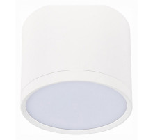 Потолочный светильник ST Luce Rene ST113.532.09