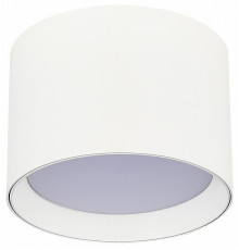 Накладной светильник ST Luce ST163.502.01