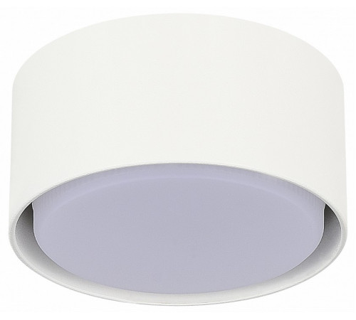 Накладной светильник ST Luce ST164.502.01