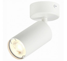 Потолочный светильник ST LUCE ST303.502.01