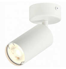 Потолочный светильник ST LUCE ST303.502.01