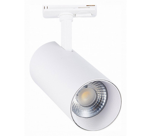 Трековый светильник ST LUCE MONO ST350.546.30.36