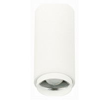 Потолочный светильник ST Luce Zoom ST600.532.10