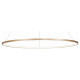 Подвесной светильник ST Luce ST603 In ST603.243.46