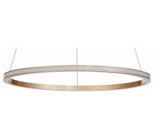 Подвесной светильник ST Luce ST604 Out ST604.243.22