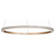 Подвесной светильник ST Luce ST604 Out ST604.243.22