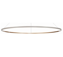Подвесной светильник ST Luce ST604 Out ST604.243.57