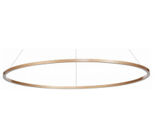 Подвесной светильник ST Luce ST605 Down ST605.243.46