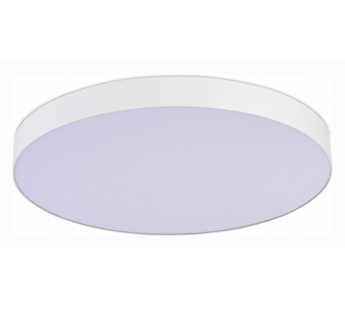Потолочный светильник ST Luce ST606.532.96 Потолочный светильник ST Luce ST606.532.96
