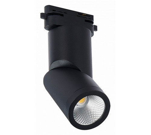 Трековый светодиодный светильник ST Luce ST650.436.10