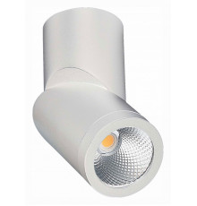 Светодиодный спот ST Luce ST650.532.10